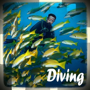 diving_testo